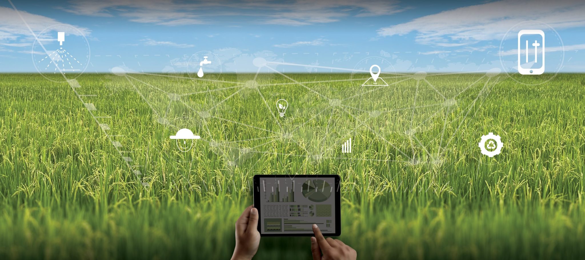 Spot Iot Math Tanpa Internet, IoT Tetap Berfungsi! Inilah Inovasi Prismax IoT Node ...