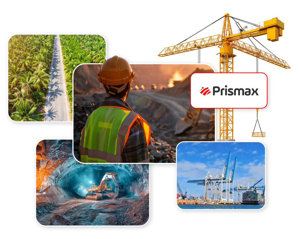 prismax image
