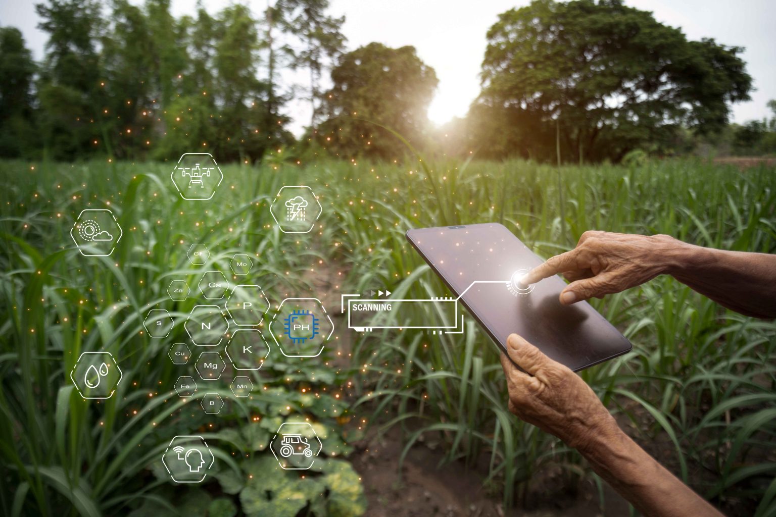 Ilustrasi Implementasi Internet of Things (IoT) untuk Industri Perkebunan dan Pertanian Indonesia